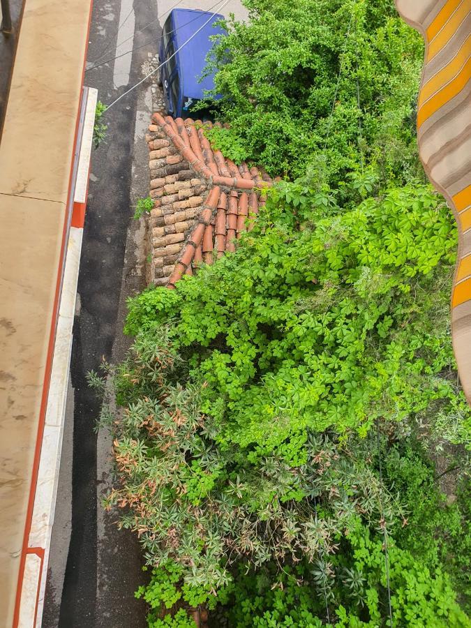 טיראנה Vila Kodra מראה חיצוני תמונה