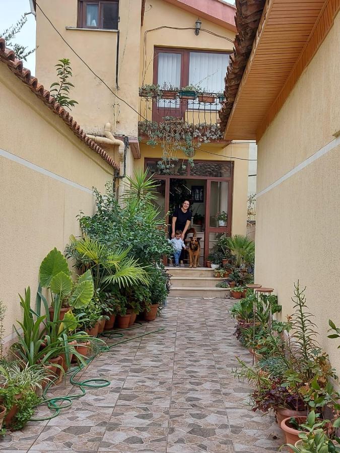 טיראנה Vila Kodra מראה חיצוני תמונה